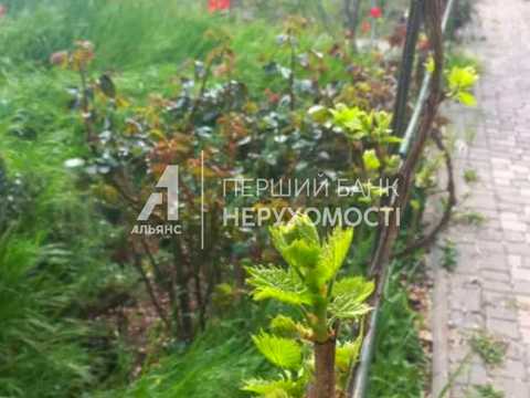 будинок за адресою Велика Садова вул.