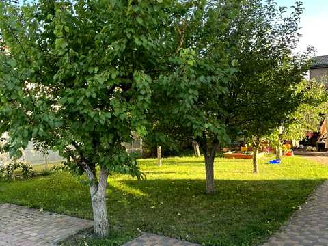 дом по адресу Вишнева ул.