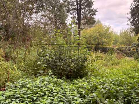 комерційна за адресою Берковецька вул., 6