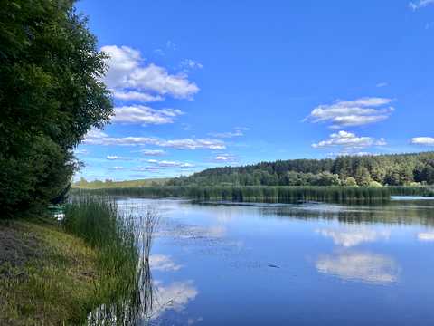 дом по адресу зоряна