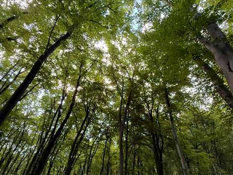 квартира за адресою Юлії Здановської вул. (Ломоносова), 81-Б