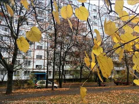 квартира за адресою Харків, Салтівське шосе, 246а