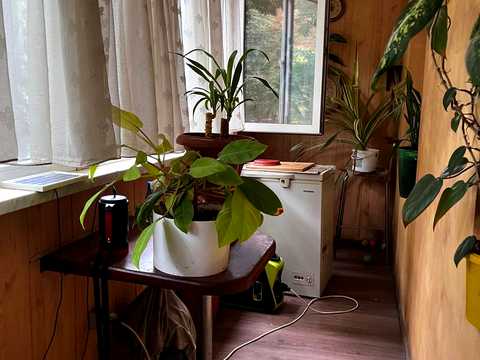 квартира по адресу Сегедская ул., 10