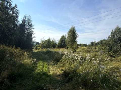 ділянка за адресою Берегова, 35