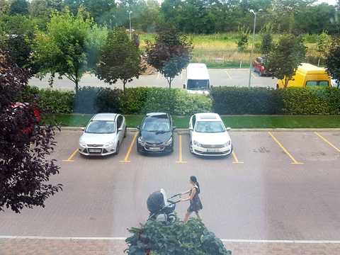 квартира за адресою с. Софіївська Борщагівка, Абрикосова вул., 5