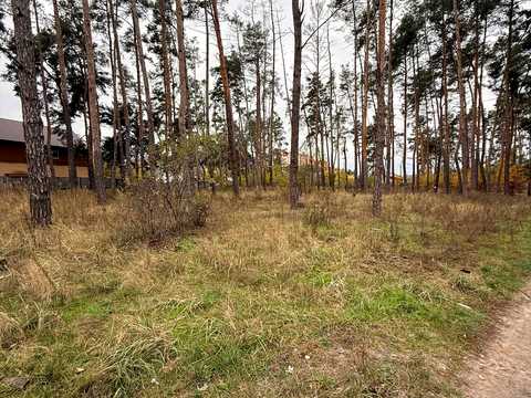 участок по адресу Университетская ул., 67в