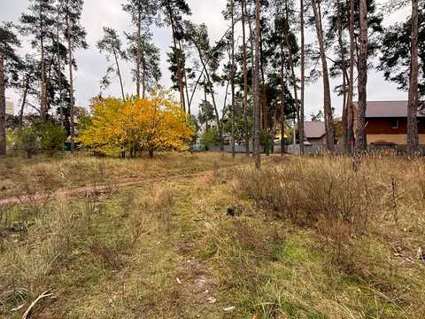 ділянка за адресою Університетська вул., 67в