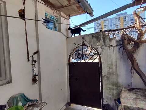 квартира за адресою Степова вул., 11