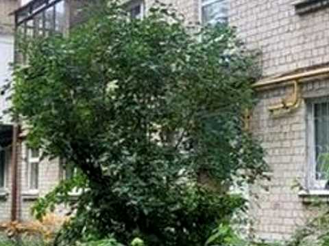 квартира по адресу Святослава Храброго ул., 4