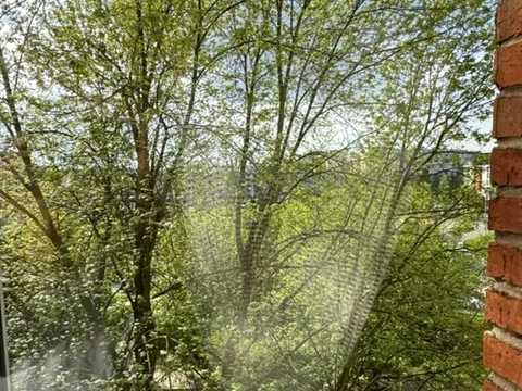квартира за адресою Кульпарківська вул. (Кульпарківська), 117