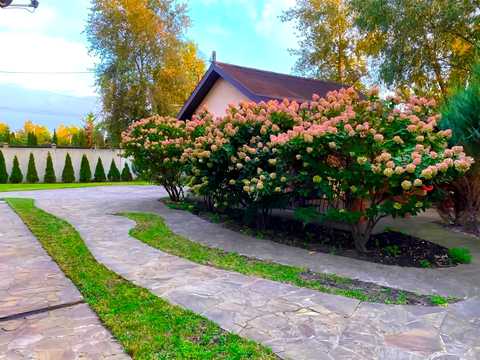 будинок за адресою Центральна вул., 50