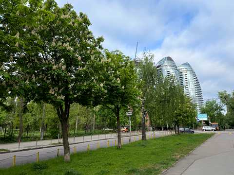квартира за адресою Київ, Джона Маккейна вул. (Івана Кудрі), 26
