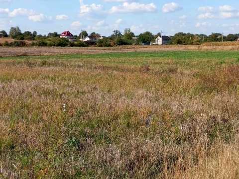 ділянка за адресою с. Лаврівка, 