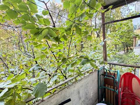 квартира за адресою Івана Дзюби вул. (Сім'ї Сосніних), 12