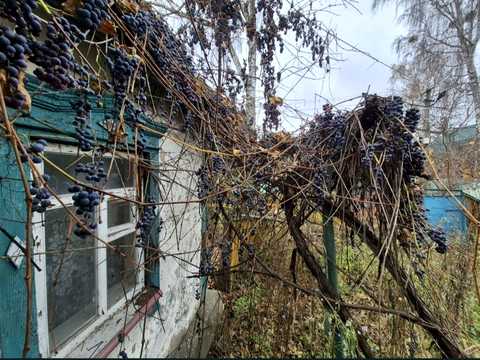 будинок за адресою Вишнева