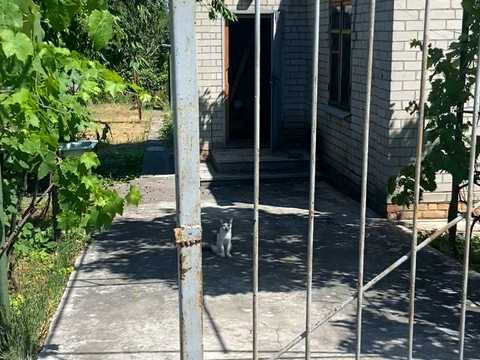 будинок за адресою с. Богатирівка, центральна