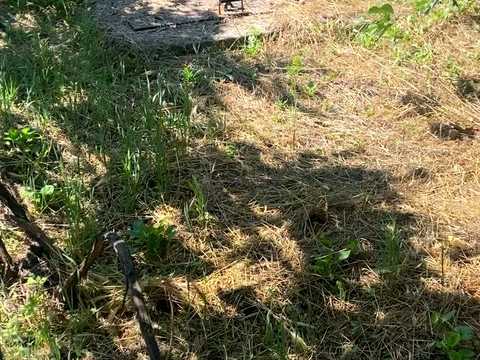 будинок за адресою с. Богатирівка, центральна