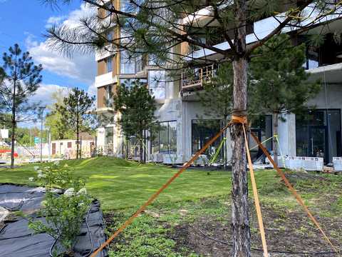 квартира по адресу Гостомельское ул., 49