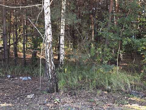 ділянка за адресою Якова Падалки