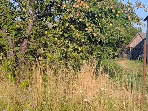 ділянка за адресою Листопадна