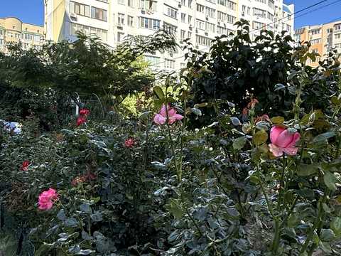 квартира за адресою Одеса, Євгена Чикаленка вул., 59/9