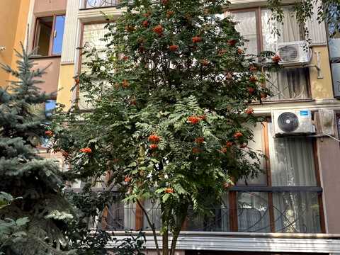 квартира за адресою Таїрова вул., 6