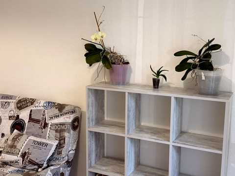 квартира за адресою Сергія Данченка вул., 18