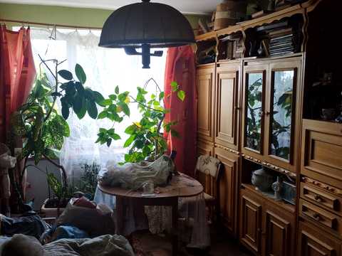кімната за адресою Юлії Жемайте вул., 13