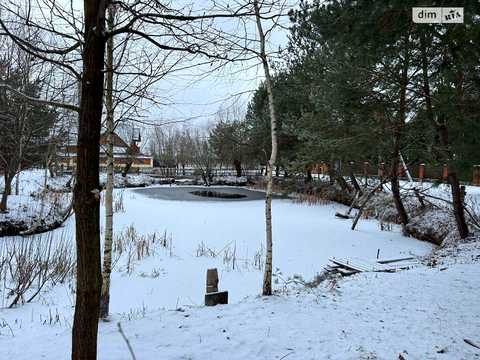 будинок за адресою с. Бірки, Янівська вул., 144