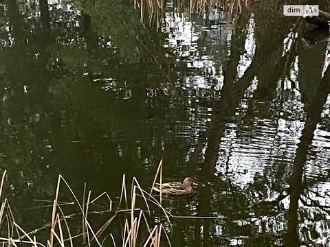 будинок за адресою с. Бірки, Янівська вул., 144
