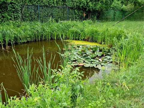 будинок за адресою Лісова