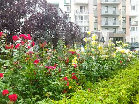 квартира за адресою Тираспольська вул., 54