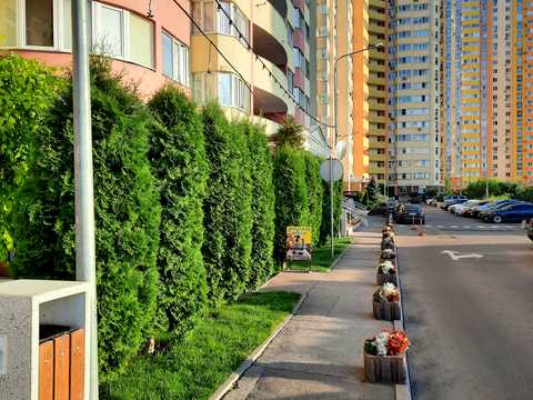 квартира за адресою Петра Калнишевського вул. (Михайла Майорова), 6