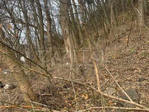 ділянка за адресою Чорногірська вул., 1
