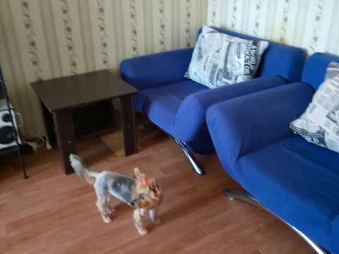 квартира за адресою Григорія Ващенка вул., 7