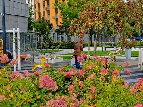 квартира за адресою Столичне шосе, 1
