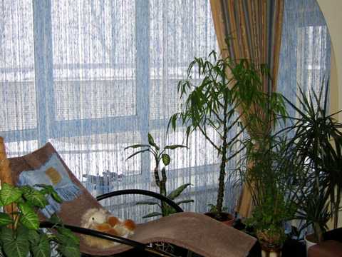 квартира за адресою Глинянський Тракт вул., 55