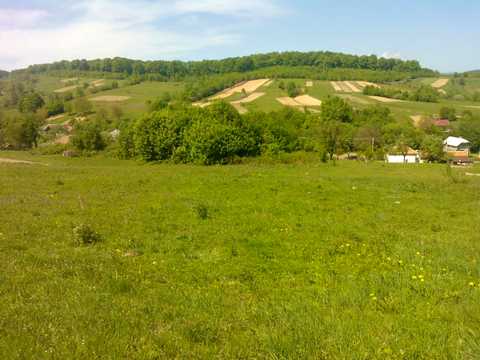 ділянка за адресою с. Поляна, Дисковецька, 105