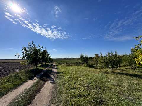 ділянка за адресою с. Бонівка, Зелена
