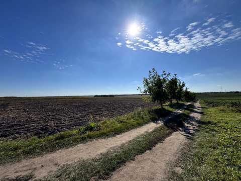 ділянка за адресою с. Бонівка, Зелена