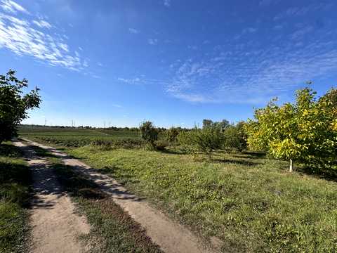 ділянка за адресою с. Бонівка, Зелена