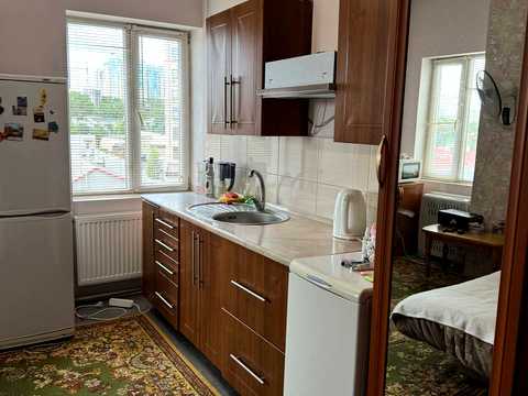квартира по адресу Дача Ковалевского ул., 30