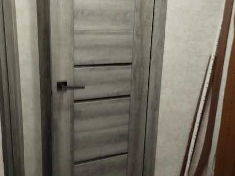 1878205965569501