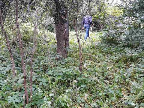 ділянка за адресою Шептицького