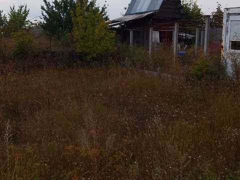 ділянка за адресою с. Кодаки, Лесі Українки