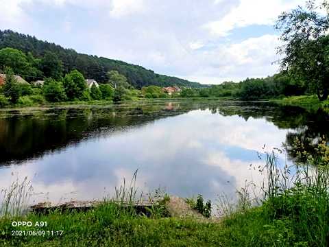 ділянка за адресою с. Тростянець, зелена, 1