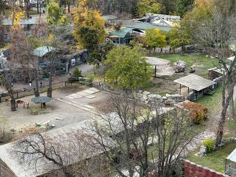 квартира за адресою Тбіліський пров., 1