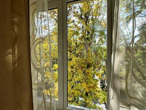 квартира по адресу Левицкого ул. (Маяковского), 93