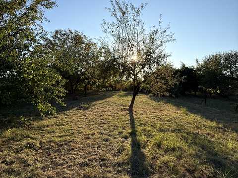 будинок за адресою Мукачеве, Михайла Данканича вул. (Климента Тімірязєва), 55