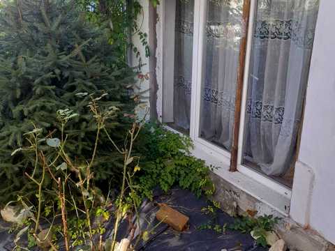 дом по адресу Костюшко ул.